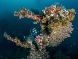 Wide angle with model shot  taken on the Liberty wreck in... by Brenda De Vries 